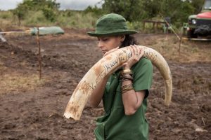 Kenya Ivory Burn 2016