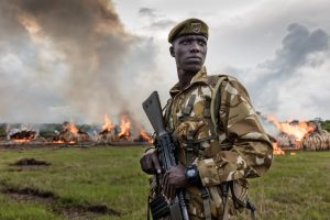 Kenya Ivory Burn 2016