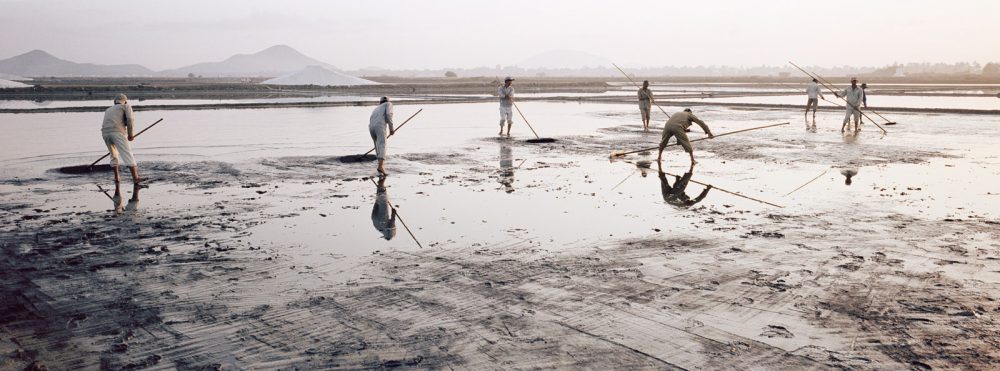 Salt Harvest, Nha Trang, Vietnam