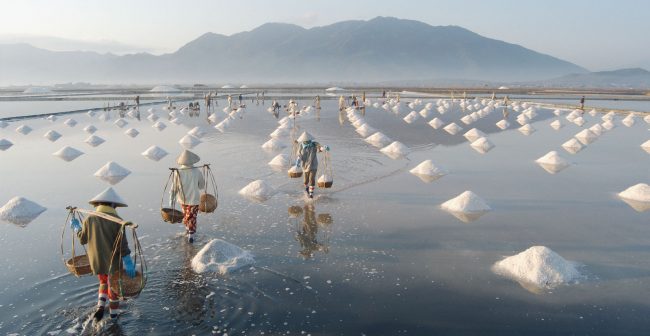 Salt Harvest, Nha Trang, Vietnam