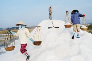 Salt Harvest, Nha Trang, Vietnam