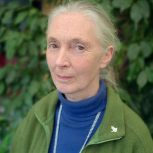 Portrait of Jane Goodall. Photographed in Toronto, Canada