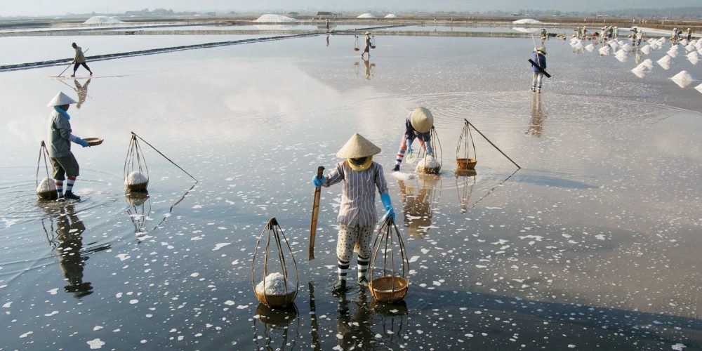Salt Harvest, Nha Trang, Vietnam